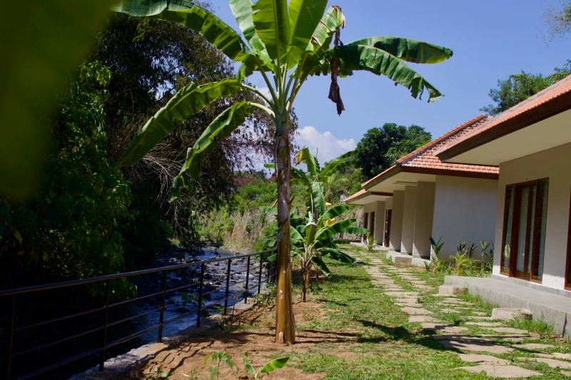 Outdoor yoga session in lush Bali retreat center
