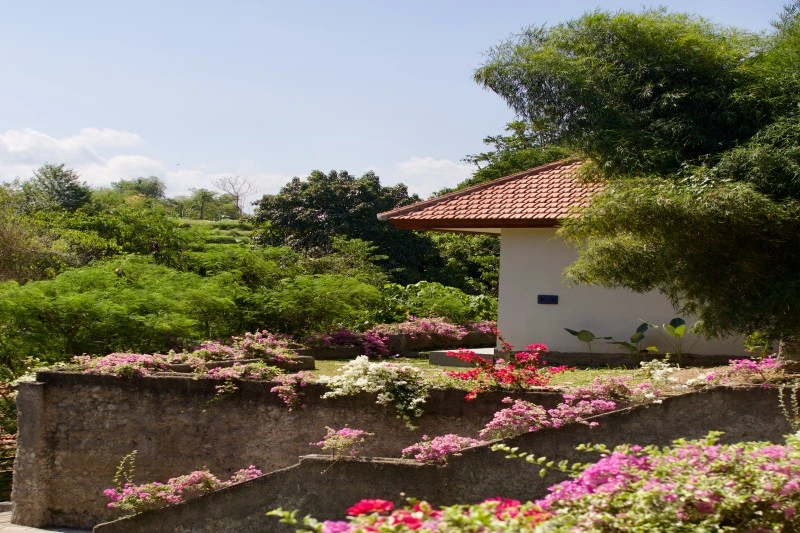 Students performing Hatha yoga postures in Bali